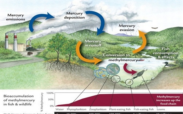 <br />
<b>Warning</b>:  Undefined variable $latest_posts in <b>/home/newsnine24/public_html/wp-content/themes/NewsNine24/archive.php</b> on line <b>46</b><br />
<br />
<b>Warning</b>:  Undefined variable $i in <b>/home/newsnine24/public_html/wp-content/themes/NewsNine24/archive.php</b> on line <b>46</b><br />
<br />
<b>Warning</b>:  Trying to access array offset on value of type null in <b>/home/newsnine24/public_html/wp-content/themes/NewsNine24/archive.php</b> on line <b>46</b><br />
<br />
<b>Warning</b>:  Attempt to read property 