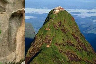 <br />
<b>Warning</b>:  Undefined variable $latest_posts in <b>/home/newsnine24/public_html/wp-content/themes/NewsNine24/archive.php</b> on line <b>46</b><br />
<br />
<b>Warning</b>:  Undefined variable $i in <b>/home/newsnine24/public_html/wp-content/themes/NewsNine24/archive.php</b> on line <b>46</b><br />
<br />
<b>Warning</b>:  Trying to access array offset on value of type null in <b>/home/newsnine24/public_html/wp-content/themes/NewsNine24/archive.php</b> on line <b>46</b><br />
<br />
<b>Warning</b>:  Attempt to read property 