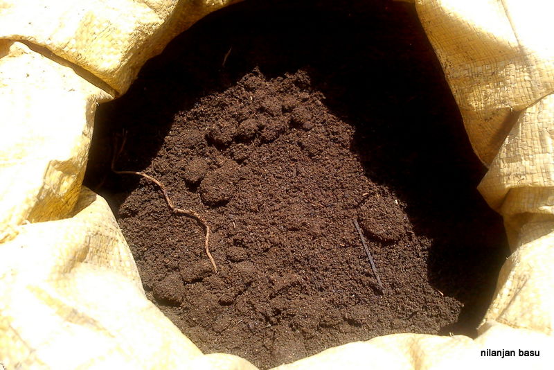 <br />
<b>Warning</b>:  Undefined variable $latest_posts in <b>/home/newsnine24/public_html/wp-content/themes/NewsNine24/archive.php</b> on line <b>46</b><br />
<br />
<b>Warning</b>:  Undefined variable $i in <b>/home/newsnine24/public_html/wp-content/themes/NewsNine24/archive.php</b> on line <b>46</b><br />
<br />
<b>Warning</b>:  Trying to access array offset on value of type null in <b>/home/newsnine24/public_html/wp-content/themes/NewsNine24/archive.php</b> on line <b>46</b><br />
<br />
<b>Warning</b>:  Attempt to read property 