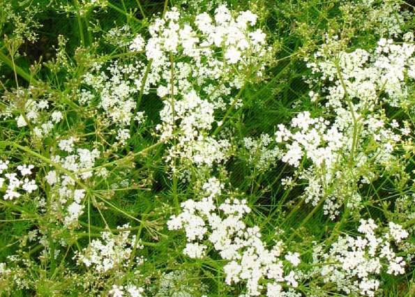 <br />
<b>Warning</b>:  Undefined variable $latest_posts in <b>/home/newsnine24/public_html/wp-content/themes/NewsNine24/archive.php</b> on line <b>46</b><br />
<br />
<b>Warning</b>:  Undefined variable $i in <b>/home/newsnine24/public_html/wp-content/themes/NewsNine24/archive.php</b> on line <b>46</b><br />
<br />
<b>Warning</b>:  Trying to access array offset on value of type null in <b>/home/newsnine24/public_html/wp-content/themes/NewsNine24/archive.php</b> on line <b>46</b><br />
<br />
<b>Warning</b>:  Attempt to read property 