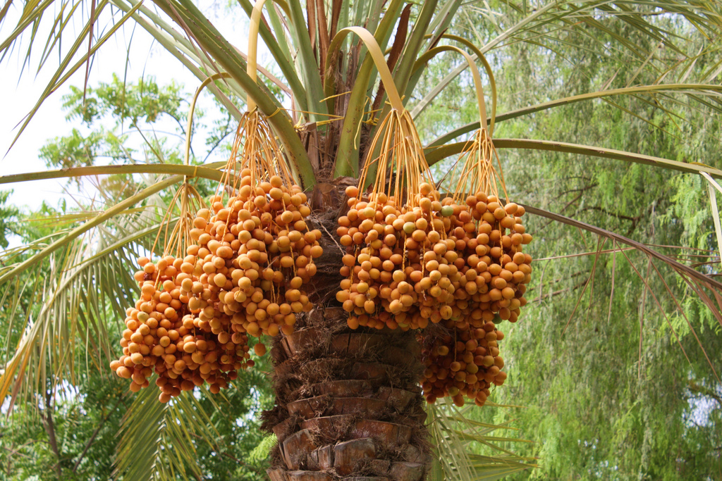 <br />
<b>Warning</b>:  Undefined variable $latest_posts in <b>/home/newsnine24/public_html/wp-content/themes/NewsNine24/archive.php</b> on line <b>46</b><br />
<br />
<b>Warning</b>:  Undefined variable $i in <b>/home/newsnine24/public_html/wp-content/themes/NewsNine24/archive.php</b> on line <b>46</b><br />
<br />
<b>Warning</b>:  Trying to access array offset on value of type null in <b>/home/newsnine24/public_html/wp-content/themes/NewsNine24/archive.php</b> on line <b>46</b><br />
<br />
<b>Warning</b>:  Attempt to read property 