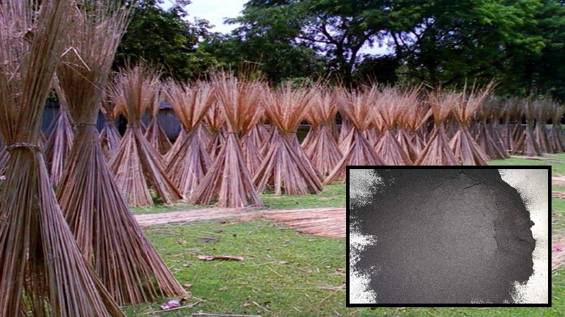 <br />
<b>Warning</b>:  Undefined variable $latest_posts in <b>/home/newsnine24/public_html/wp-content/themes/NewsNine24/archive.php</b> on line <b>46</b><br />
<br />
<b>Warning</b>:  Undefined variable $i in <b>/home/newsnine24/public_html/wp-content/themes/NewsNine24/archive.php</b> on line <b>46</b><br />
<br />
<b>Warning</b>:  Trying to access array offset on value of type null in <b>/home/newsnine24/public_html/wp-content/themes/NewsNine24/archive.php</b> on line <b>46</b><br />
<br />
<b>Warning</b>:  Attempt to read property 