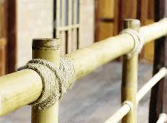 <br />
<b>Warning</b>:  Undefined variable $latest_posts in <b>/home/newsnine24/public_html/wp-content/themes/NewsNine24/archive.php</b> on line <b>46</b><br />
<br />
<b>Warning</b>:  Undefined variable $i in <b>/home/newsnine24/public_html/wp-content/themes/NewsNine24/archive.php</b> on line <b>46</b><br />
<br />
<b>Warning</b>:  Trying to access array offset on value of type null in <b>/home/newsnine24/public_html/wp-content/themes/NewsNine24/archive.php</b> on line <b>46</b><br />
<br />
<b>Warning</b>:  Attempt to read property 