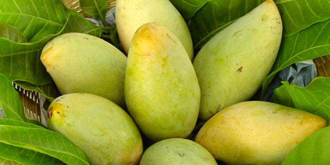 <br />
<b>Warning</b>:  Undefined variable $latest_posts in <b>/home/newsnine24/public_html/wp-content/themes/NewsNine24/archive.php</b> on line <b>46</b><br />
<br />
<b>Warning</b>:  Undefined variable $i in <b>/home/newsnine24/public_html/wp-content/themes/NewsNine24/archive.php</b> on line <b>46</b><br />
<br />
<b>Warning</b>:  Trying to access array offset on value of type null in <b>/home/newsnine24/public_html/wp-content/themes/NewsNine24/archive.php</b> on line <b>46</b><br />
<br />
<b>Warning</b>:  Attempt to read property 