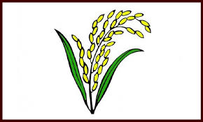 <br />
<b>Warning</b>:  Undefined variable $latest_posts in <b>/home/newsnine24/public_html/wp-content/themes/NewsNine24/archive.php</b> on line <b>46</b><br />
<br />
<b>Warning</b>:  Undefined variable $i in <b>/home/newsnine24/public_html/wp-content/themes/NewsNine24/archive.php</b> on line <b>46</b><br />
<br />
<b>Warning</b>:  Trying to access array offset on value of type null in <b>/home/newsnine24/public_html/wp-content/themes/NewsNine24/archive.php</b> on line <b>46</b><br />
<br />
<b>Warning</b>:  Attempt to read property 